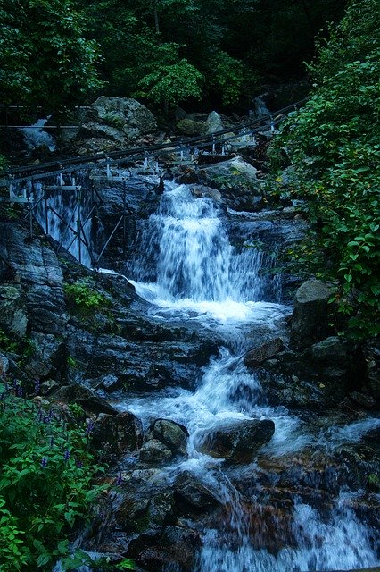Streams The Creek Nature 무료 다운로드 - 무료 무료 사진 또는 GIMP 온라인 이미지 편집기로 편집할 수 있는 사진