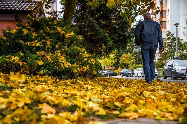 Bezpłatne pobieranie Street Autumn Walkway - bezpłatne zdjęcie lub obraz do edycji za pomocą internetowego edytora obrazów GIMP