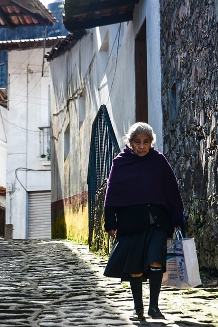 Free graphic street grandma woman senior elder to be edited by GIMP free image editor by OffiDocs