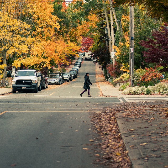 Free download street road autumn fall trees free picture to be edited with GIMP free online image editor