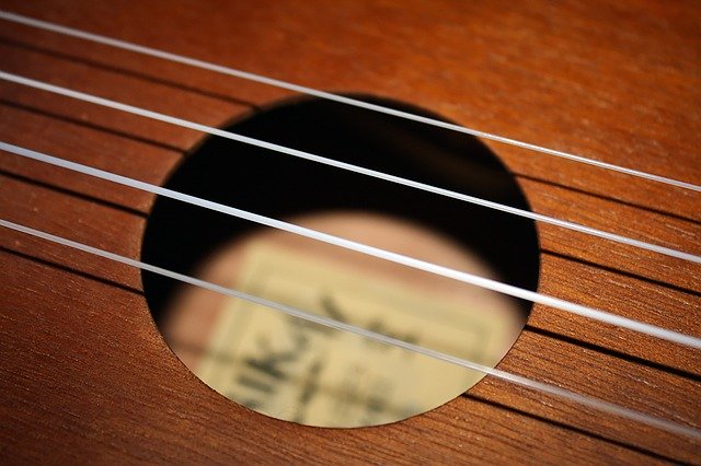 Free download Strings Ukulele Instrument free photo template to be edited with GIMP online image editor