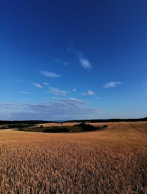 Free download Stubble Harvested Field Harvest -  free photo or picture to be edited with GIMP online image editor