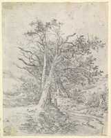 Free download Study for Tree Trunks and Lane free photo or picture to be edited with GIMP online image editor