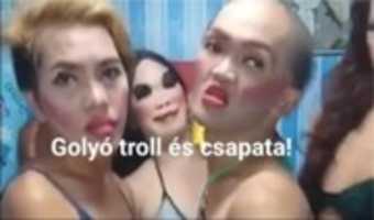 Free download stu free photo or picture to be edited with GIMP online image editor