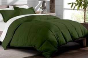 Free download stunning and Graceful Moss green comforter free photo or picture to be edited with GIMP online image editor