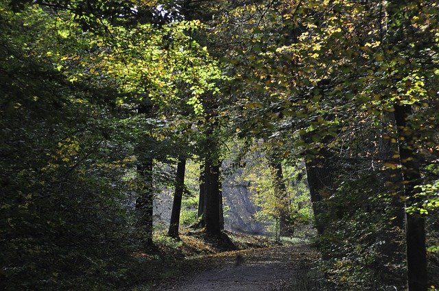 Bezpłatne pobieranie Stuttgart Wildlife Park Autumn - bezpłatne zdjęcie lub obraz do edycji za pomocą internetowego edytora obrazów GIMP