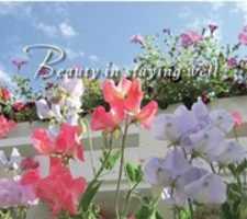 Free download Substance Abuse Treatment Programs free photo or picture to be edited with GIMP online image editor