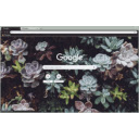 Succulent Jungle  screen for extension Chrome web store in OffiDocs Chromium