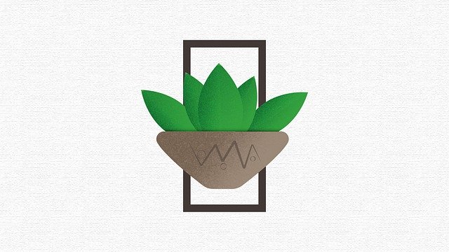 Free download Succulent Plant Green -  free illustration to be edited with GIMP free online image editor