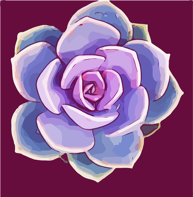 Free download Succulent Rosette Plant - Free vector graphic on Pixabay free illustration to be edited with GIMP free online image editor