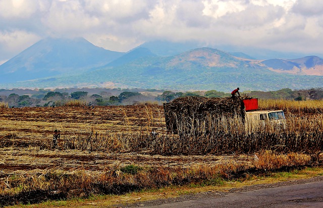 Free download sugar cane mountain truck free picture to be edited with GIMP free online image editor