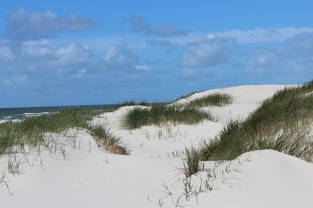 Free download Summer Dunes Beach -  free photo or picture to be edited with GIMP online image editor