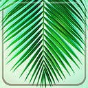 Summer Minimalist  screen for extension Chrome web store in OffiDocs Chromium