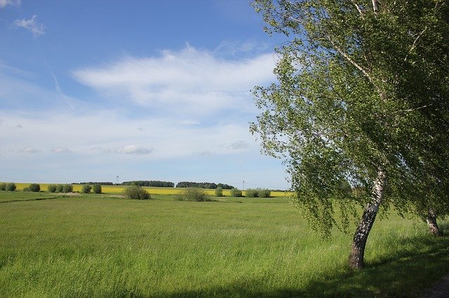 Descărcare gratuită Summer Nature Landscape - fotografie sau imagini gratuite pentru a fi editate cu editorul de imagini online GIMP