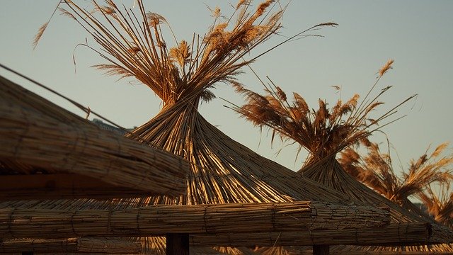 Summer Sea Beach 무료 다운로드 - 무료 사진 또는 김프 온라인 이미지 편집기로 편집할 사진