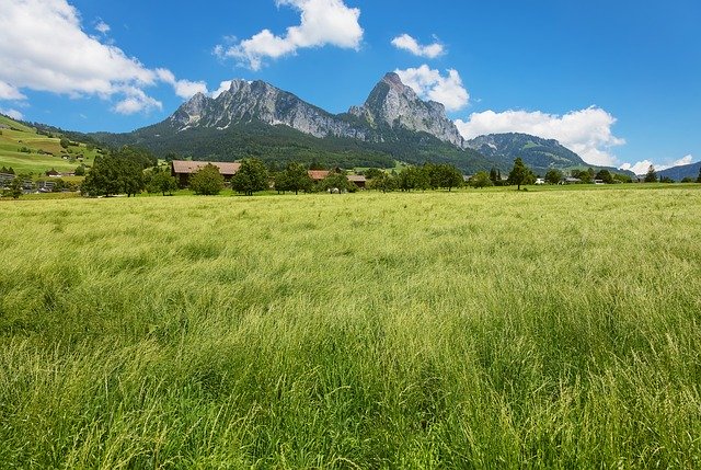 ດາວ​ໂຫຼດ​ຟຣີ Summer View Outdoor - ຮູບ​ພາບ​ຟຣີ​ຫຼື​ຮູບ​ພາບ​ທີ່​ຈະ​ໄດ້​ຮັບ​ການ​ແກ້​ໄຂ​ກັບ GIMP ອອນ​ໄລ​ນ​໌​ບັນ​ນາ​ທິ​ການ​ຮູບ​ພາບ​