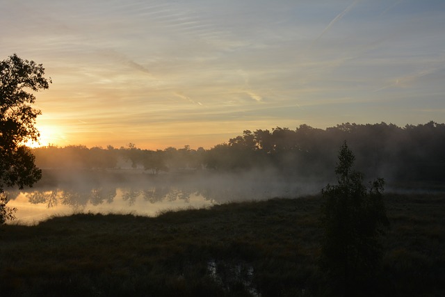 Free download sun attendance sunrise mist fog free picture to be edited with GIMP free online image editor