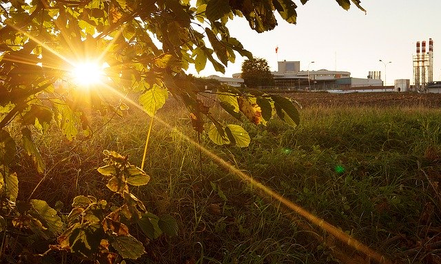 Descărcare gratuită Sun Backlighting Nature - fotografie sau imagini gratuite pentru a fi editate cu editorul de imagini online GIMP