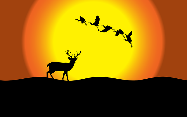 Free download Sun Deer Sunset - Free vector graphic on Pixabay free illustration to be edited with GIMP free online image editor