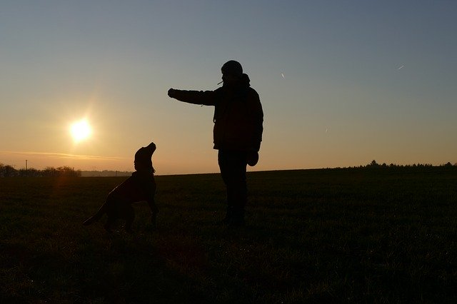Free download Sundown People Dog free photo template to be edited with GIMP online image editor
