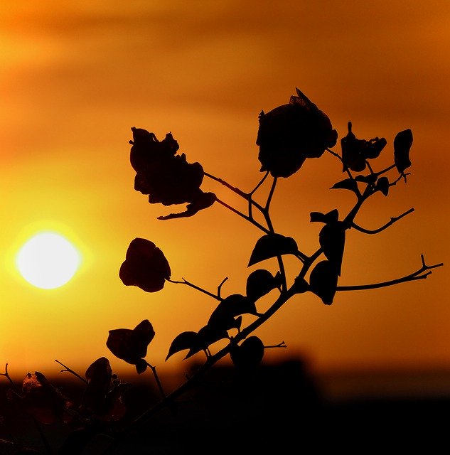 免费下载 Sundown Sunset Abendstimmung - 可使用 GIMP 在线图像编辑器编辑的免费照片或图片