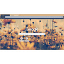 Sunflower fleid  screen for extension Chrome web store in OffiDocs Chromium
