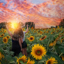 Sunflower girl and sun  screen for extension Chrome web store in OffiDocs Chromium