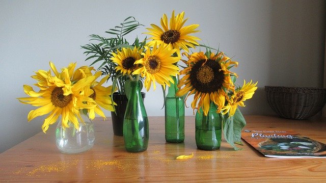 Free download Sunflower Home Decoration -  free photo or picture to be edited with GIMP online image editor