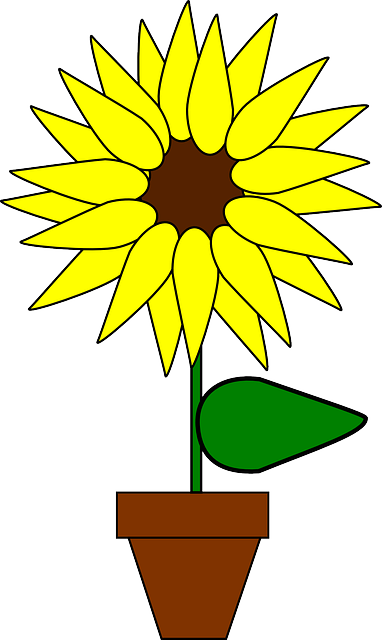 Free download Sunflower Potted Plant Flower - Free vector graphic on Pixabay free illustration to be edited with GIMP free online image editor
