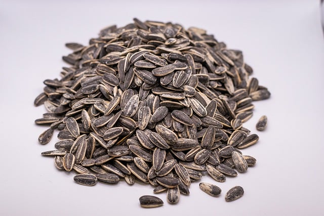 Free download sunflower seeds shell seeds kernels free picture to be edited with GIMP free online image editor