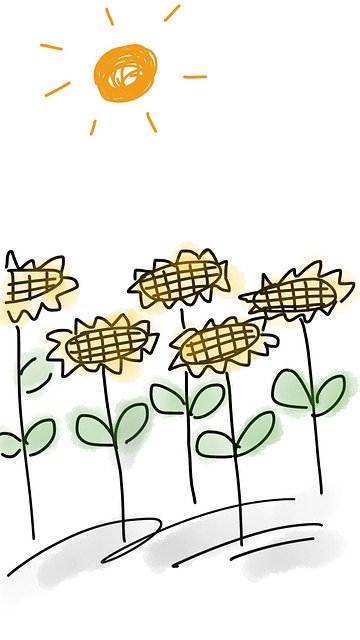 Kostenloser Download Sunflowers Sun Flower - kostenlose Illustration, die mit dem kostenlosen Online-Bildeditor GIMP bearbeitet werden kann