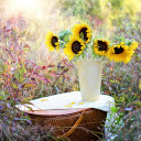 Sunflower vase  screen for extension Chrome web store in OffiDocs Chromium