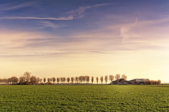 Free download sunlight clouds trees pasture free picture to be edited with GIMP free online image editor
