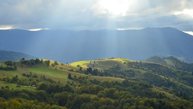Téléchargement gratuit d'une image gratuite de paysage de soleil, nature verte, à modifier avec l'éditeur d'images en ligne gratuit GIMP