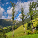 Sunlight on the lotus hill  screen for extension Chrome web store in OffiDocs Chromium Sunlight on the lotus hill  screen for extension Chrome web store in OffiDocs Chromium