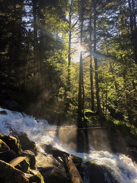 Muat turun percuma Sunlight River Po - foto atau gambar percuma untuk diedit dengan editor imej dalam talian GIMP