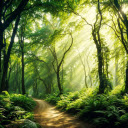 Sunlight through the trees  screen for extension Chrome web store in OffiDocs Chromium