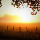 Sunny and foggy dawn  screen for extension Chrome web store in OffiDocs Chromium