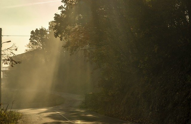 Free download Sunrays Nature Trees -  free photo or picture to be edited with GIMP online image editor