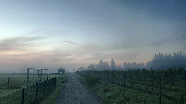 Безкоштовно завантажте Sunrise Away Field — безкоштовну фотографію чи зображення для редагування за допомогою онлайн-редактора зображень GIMP