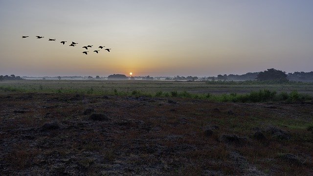 Bezpłatne pobieranie Sunrise Birds Landscape - darmowe zdjęcie lub obraz do edycji za pomocą internetowego edytora obrazów GIMP