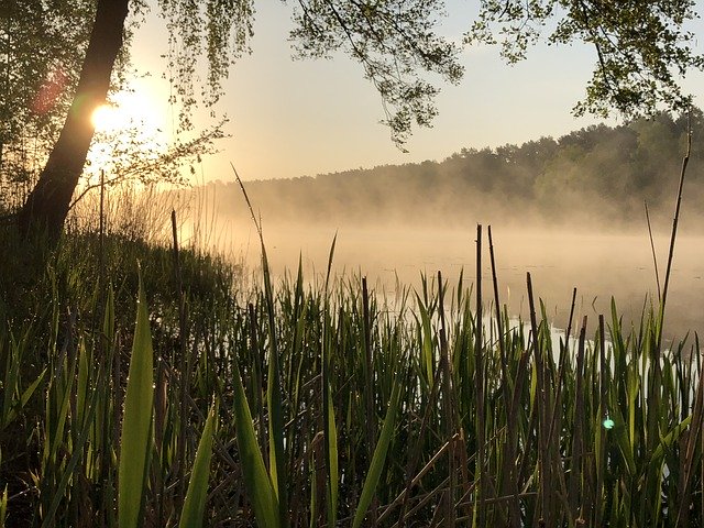 Free download Sunrise Brandenburg -  free photo or picture to be edited with GIMP online image editor