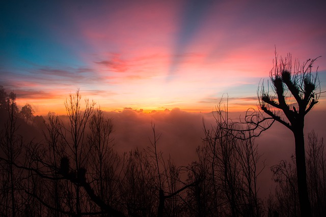 Free download sunrise bromo mo indonesia morning free picture to be edited with GIMP free online image editor