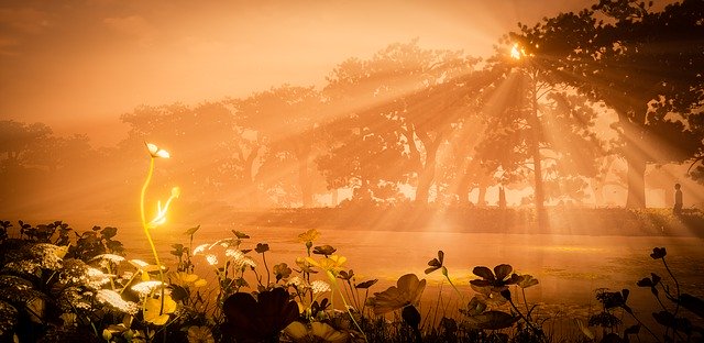 Muat turun percuma Sunrise Computer Graphics Unreal 4 - foto atau gambar percuma untuk diedit dengan editor imej dalam talian GIMP