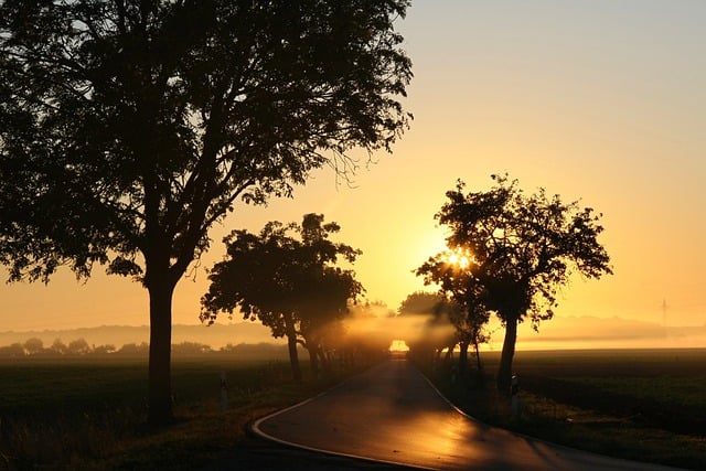 Free download sunrise fog light fall path free picture to be edited with GIMP free online image editor