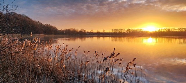Free download sunrise lake nature sun reed free picture to be edited with GIMP free online image editor
