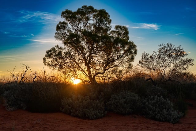 Free download sunrise landscape desert clouds free picture to be edited with GIMP free online image editor