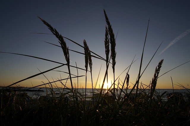 Free download Sunrise Marram Grass Sun -  free photo or picture to be edited with GIMP online image editor
