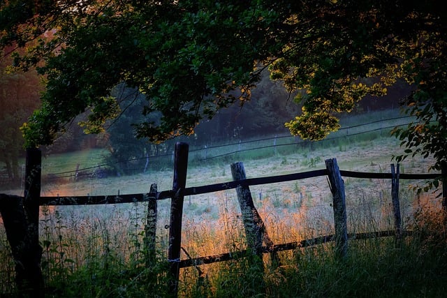 Free download sunrise meadow fence landscape free picture to be edited with GIMP free online image editor