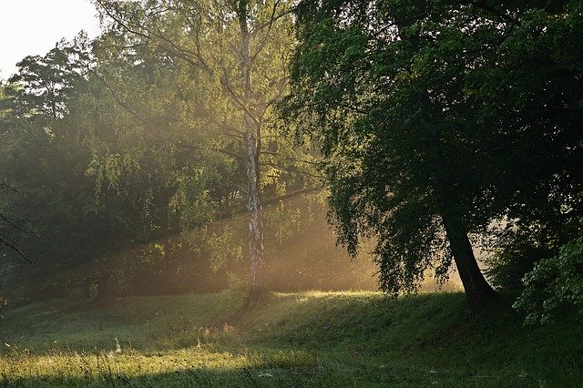 Kostenloser Download Sunrise Mood Landscape - kostenloses Foto oder Bild zur Bearbeitung mit GIMP Online-Bildbearbeitung